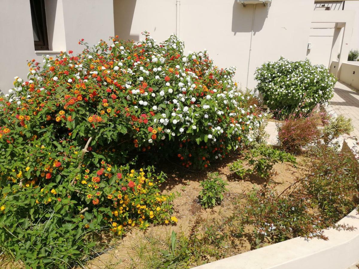 Carisa Maleme (Crete)