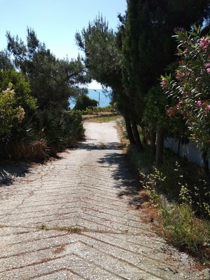 Summer Breeze House * Palaiontsiflikion