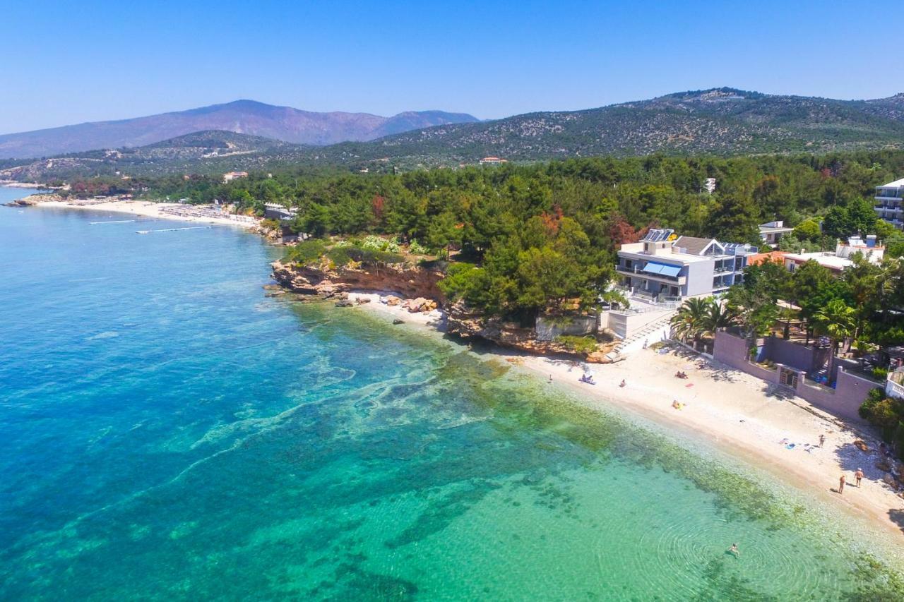 Nautilus Iii Aparthotel Potos