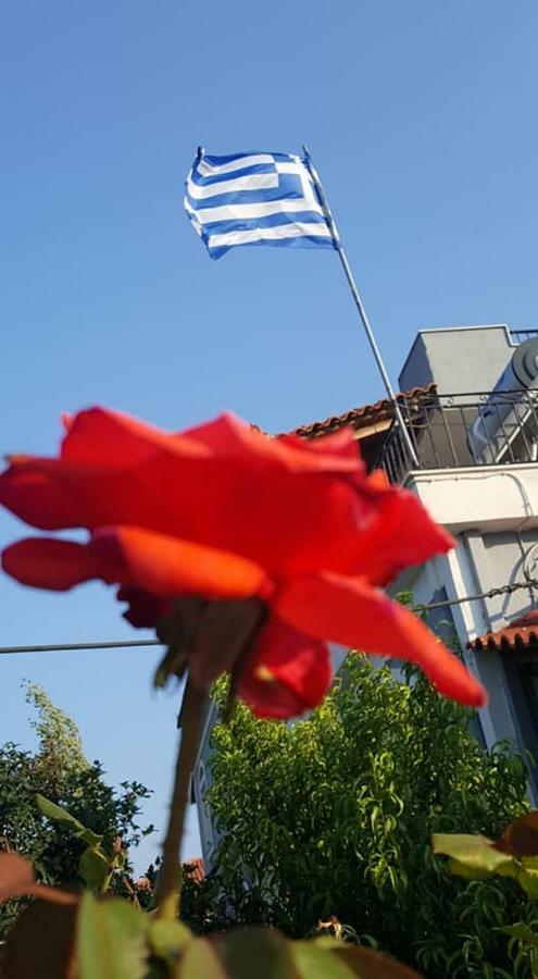Anthis Aparthotel Pythagoreio (Samos)