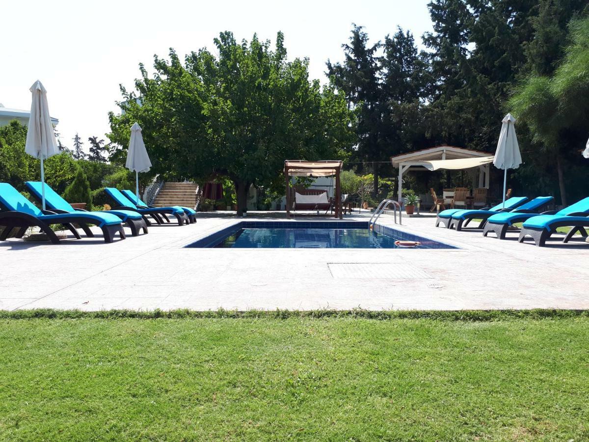 Villa Dora Faliraki