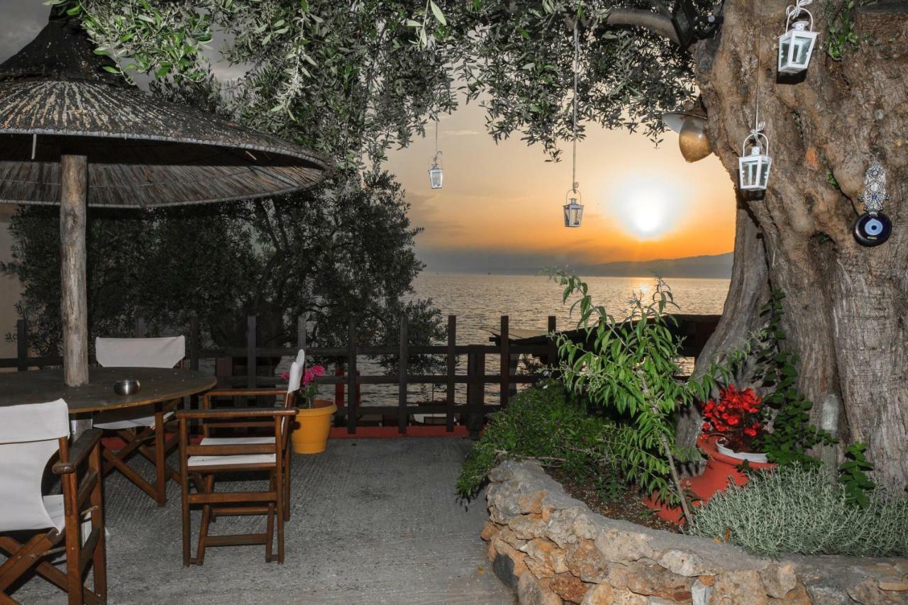 Plaka Aparthotel