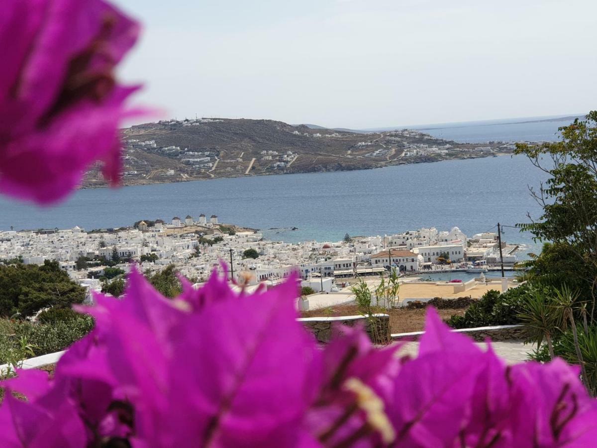 Bellou * Mykonos Town