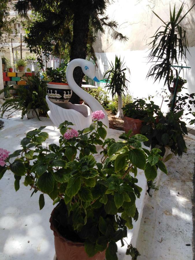 Aparthotel 85 Sqm New Panorama Electric Car φωρτησησ Station *