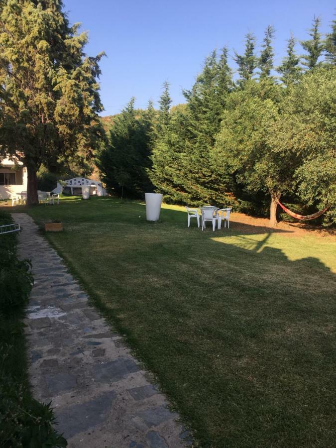 Douvas House *