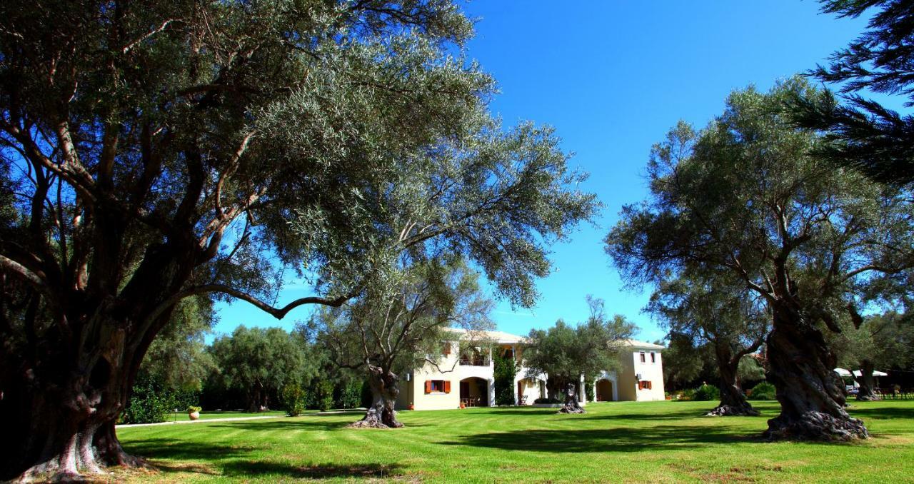 Olivastro