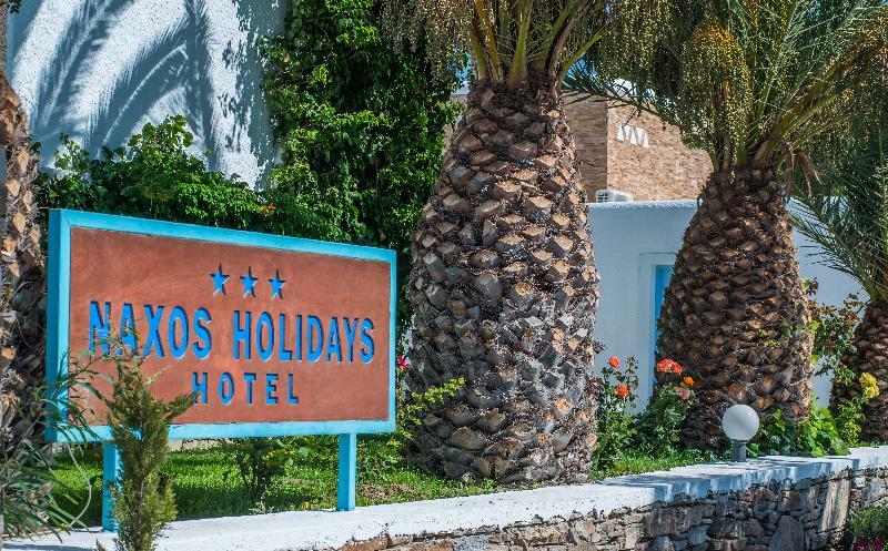 Naxos Holidays 3*