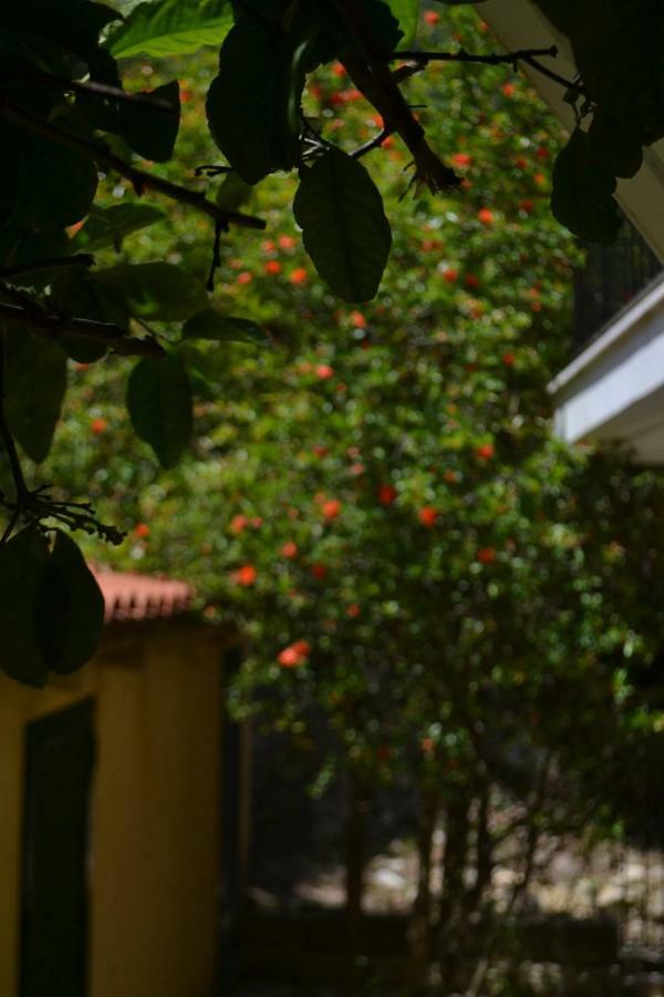 Giannatos Studios- Isabella Poros (Kefalonia)