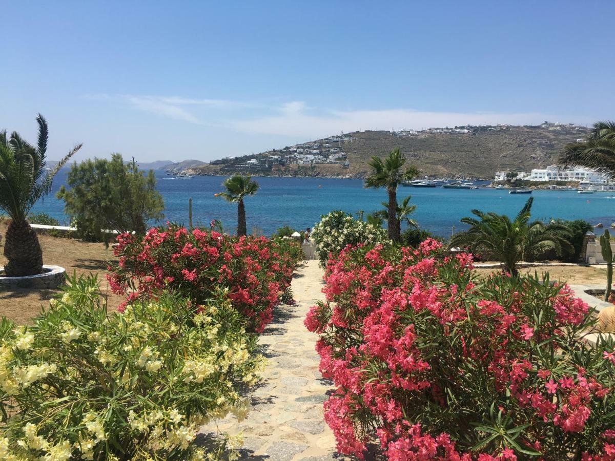 Only Yours , Mykonos Apartment *