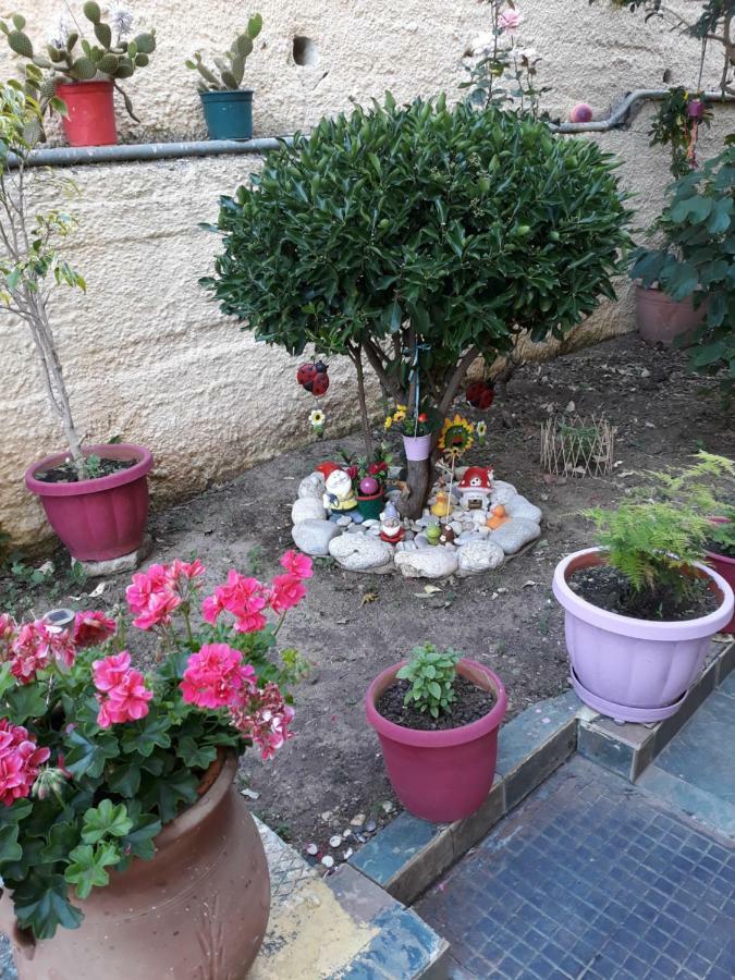 Apartment Margaritas' Agios Gordios (Corfu)