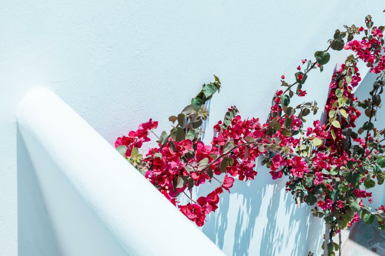 Bohemian Luxury Boutique Hotel, Adults Only Hotel Naousa (Paros)