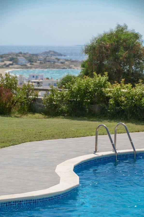 Villa Naxos Luxury Mikri Vigla
