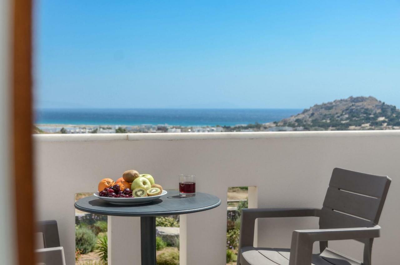 Naxos Luxury Villa