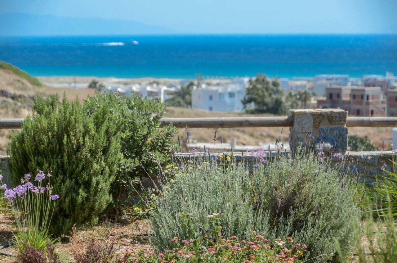Naxos Luxury Mikri Vigla