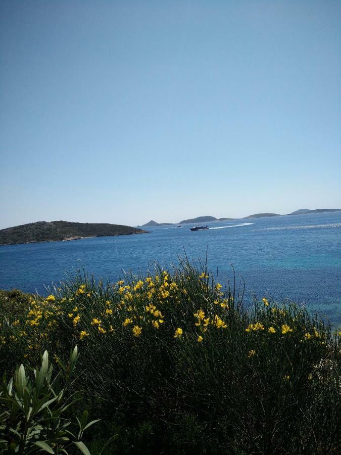 Nefeli 3* Lipsi
