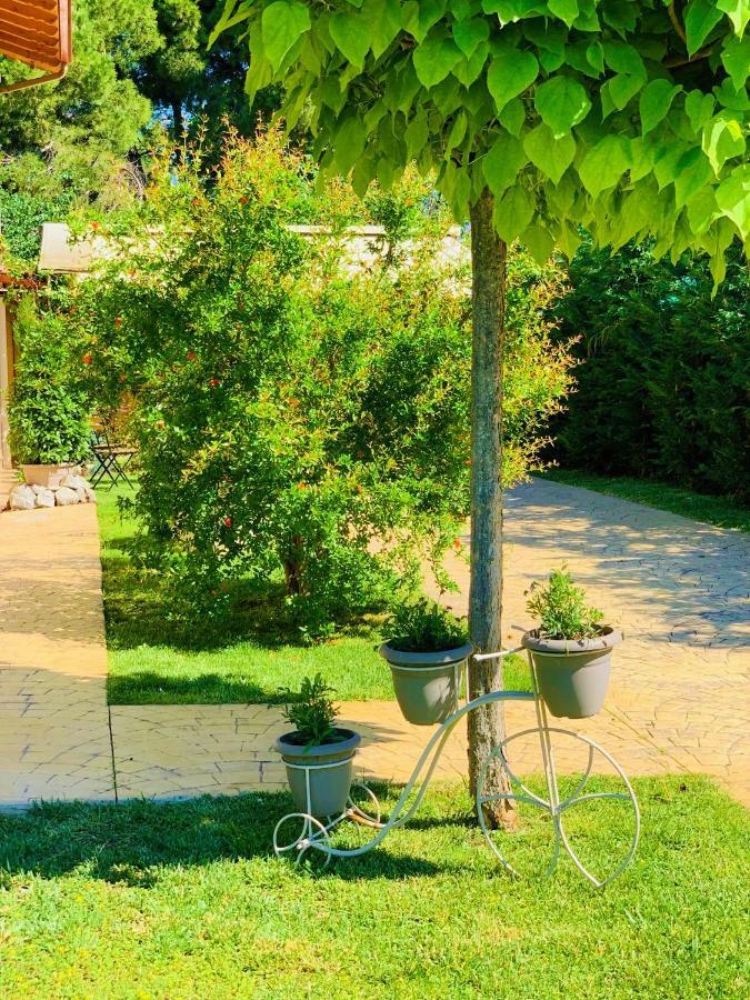 Ktima Anatoli Luxury Residences Holiday home Nea Kallikrateia