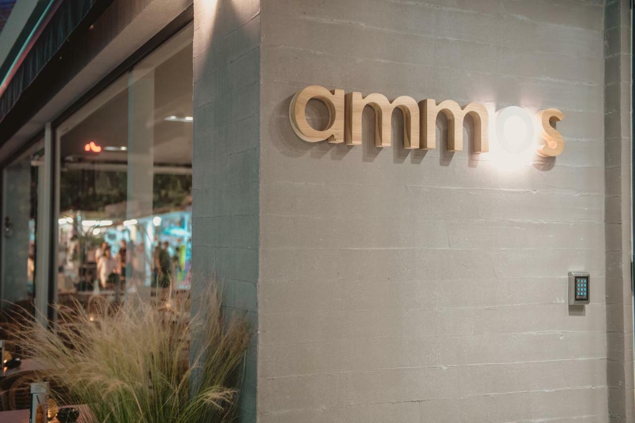 Ammos Seaside Luxury Hotel Olympiaki Akti