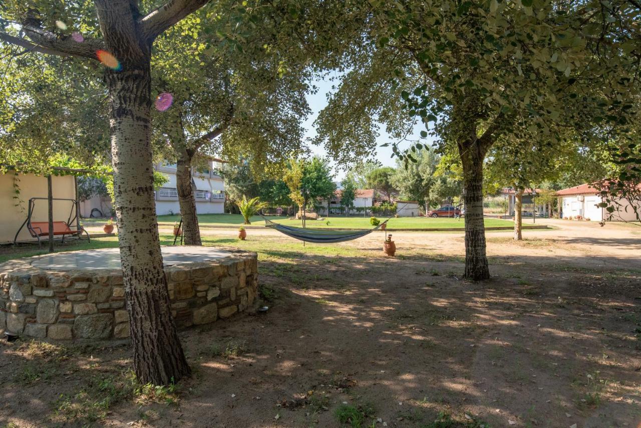 Campsite Linaraki & Sykia Chalkidikis