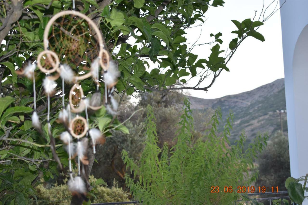Apartment Dreamcatcher Of Zeus