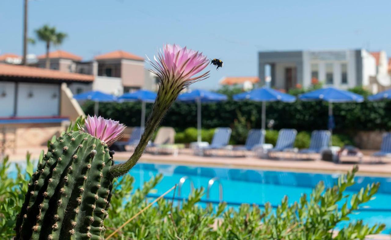 Aparthotel Niriides