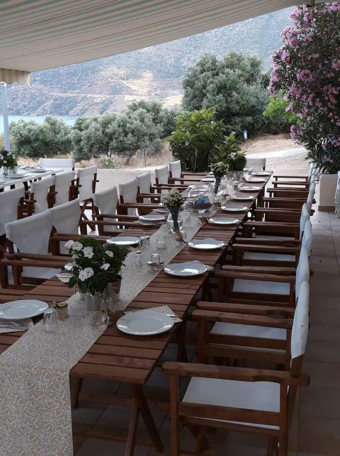 Skoutari Beach Aparthotel 2*