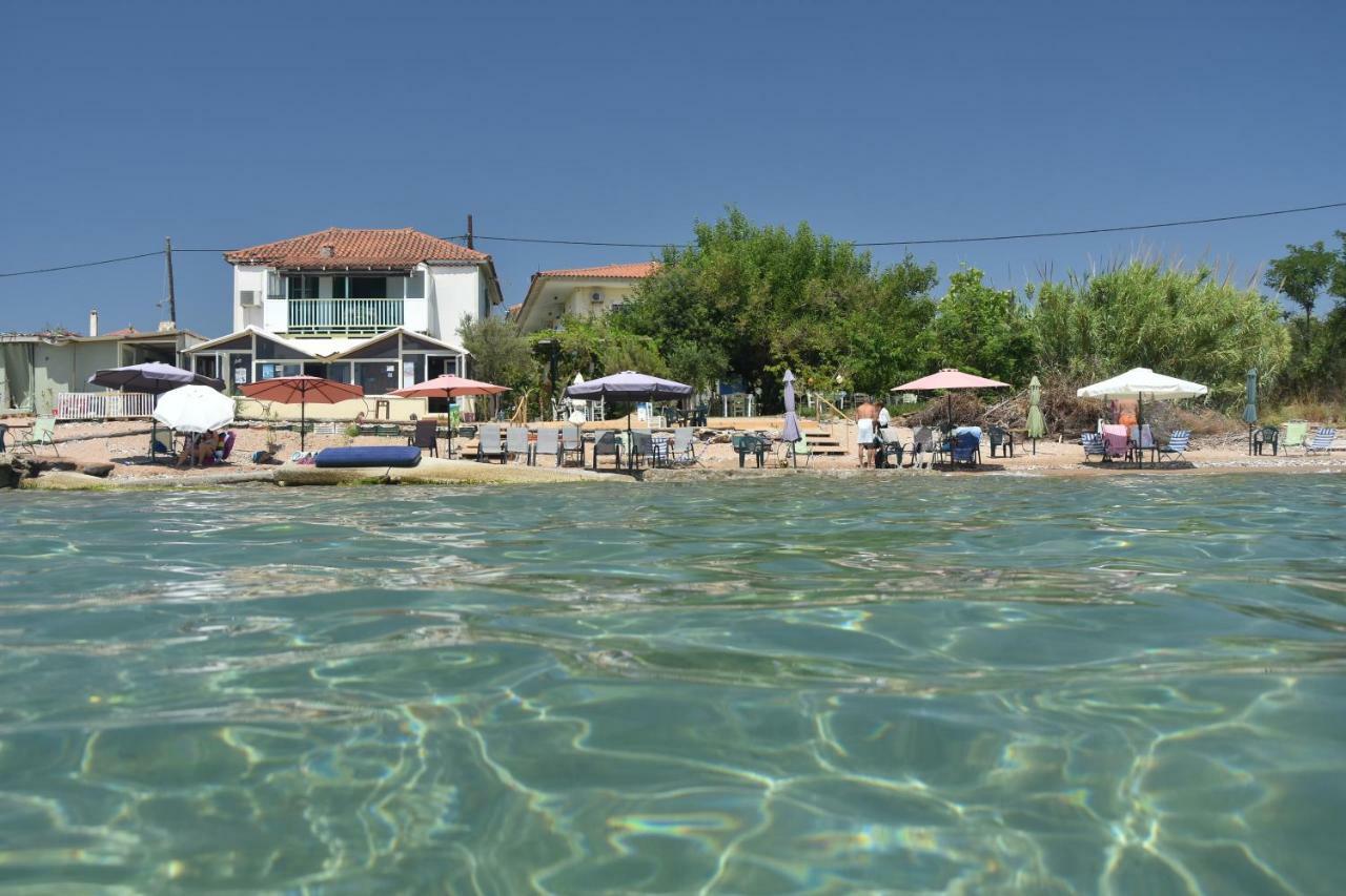 Kassimiotis Agios Andreas (Messenia)