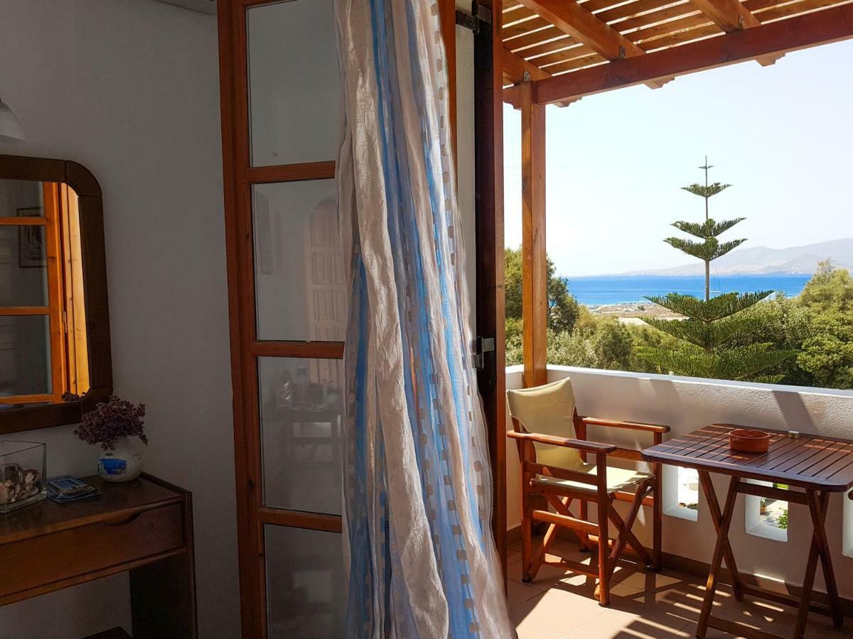 Dina Naxos Apartment *