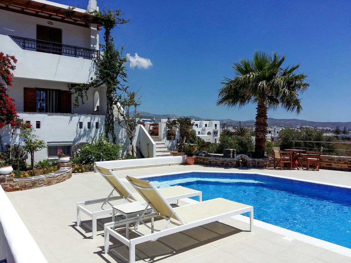 Dina Naxos Apartment