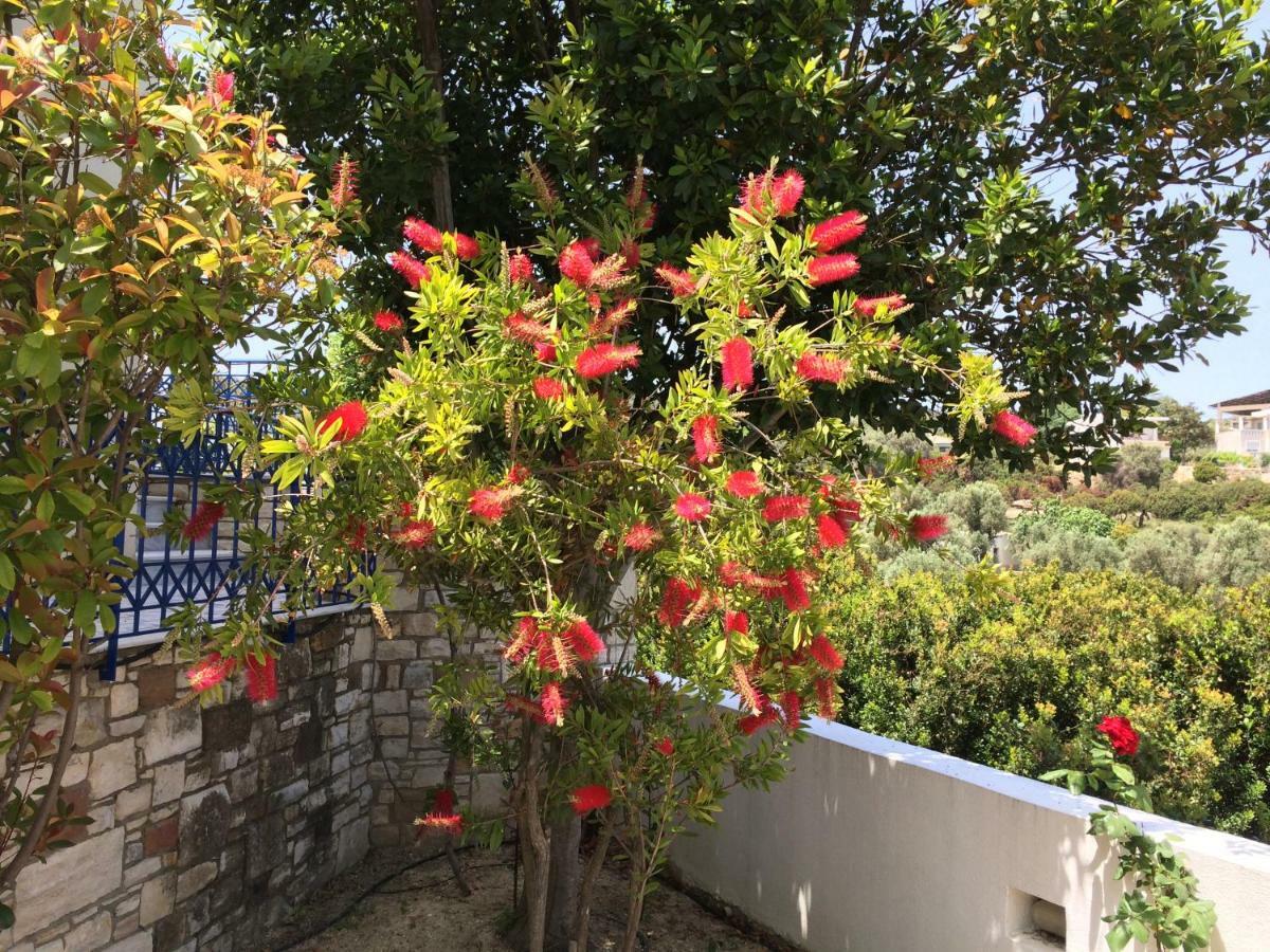 Sea Breeze Chios Apartment