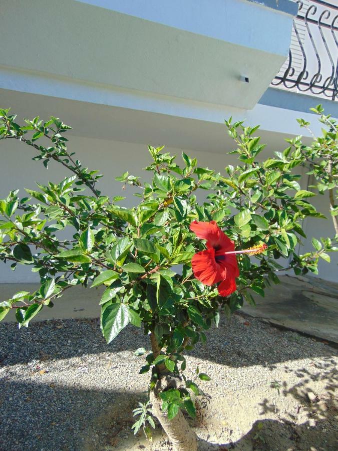 Villa Dora Faliraki