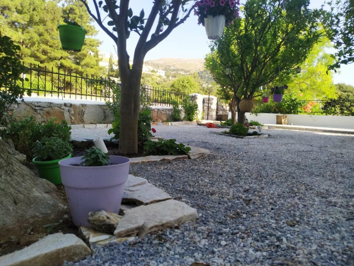 Dreamcatcher Of Zeus Apartment