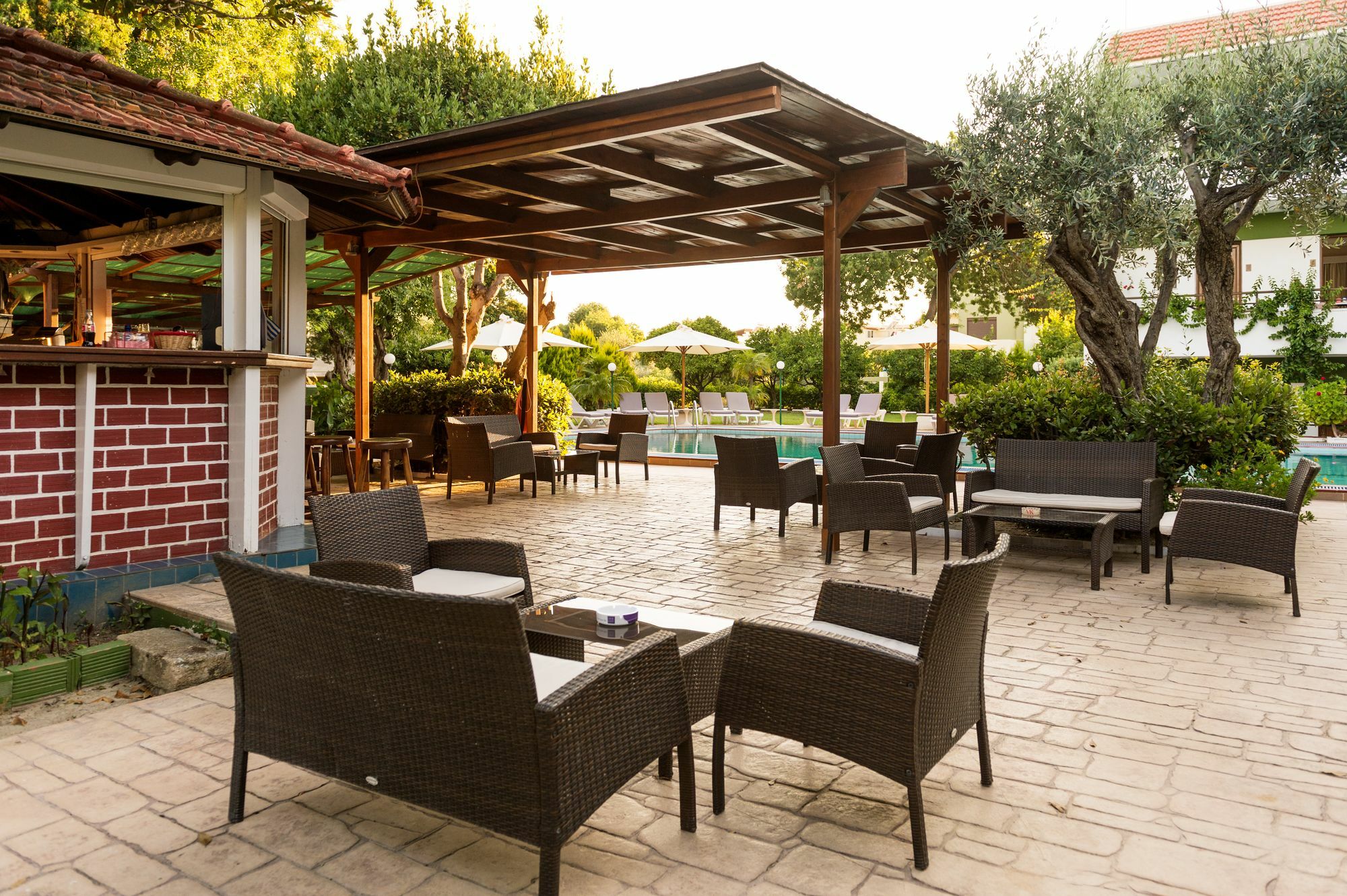 Terinikos Sunny Garden Junior