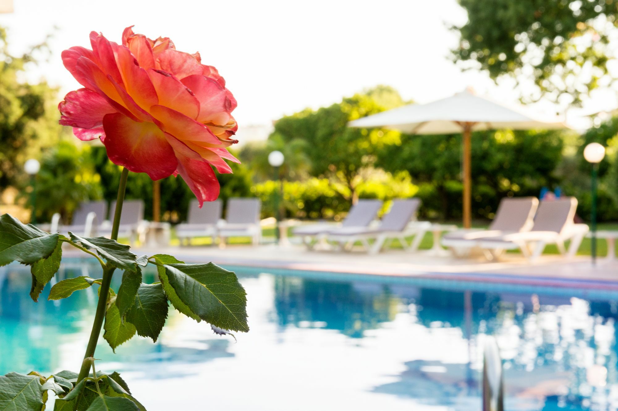 Terinikos Sunny Garden Junior Aparthotel