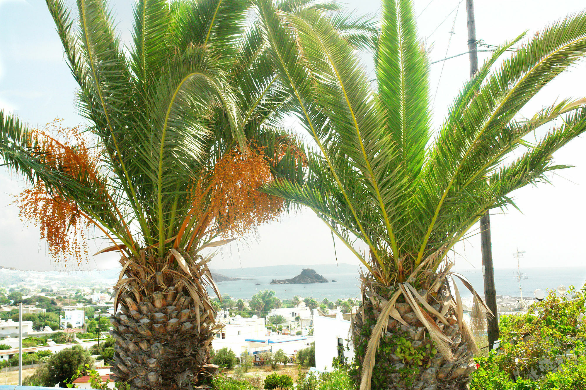 Aparthotel Archodia
