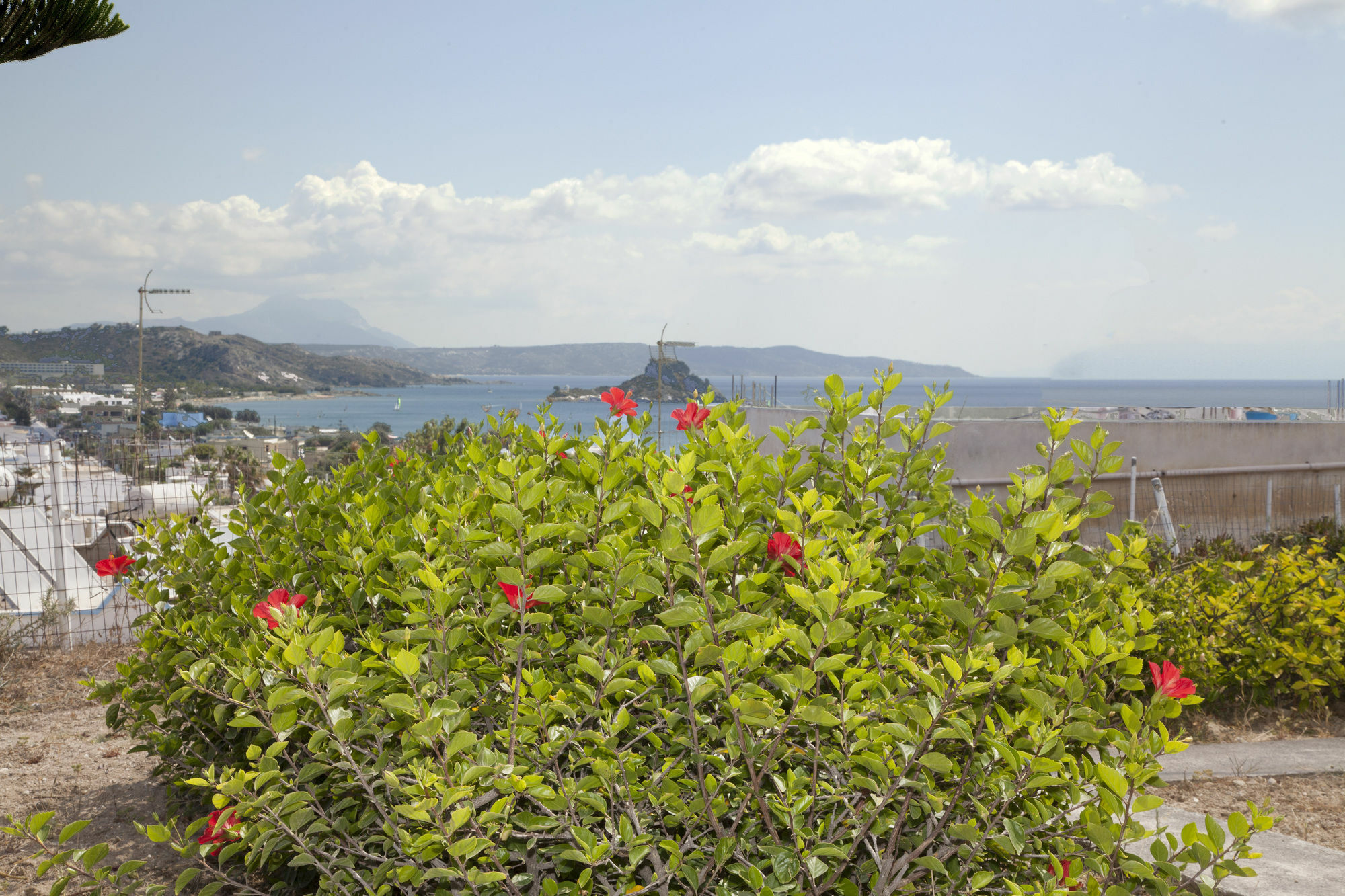 Archodia Aparthotel Kefalos (Kos)