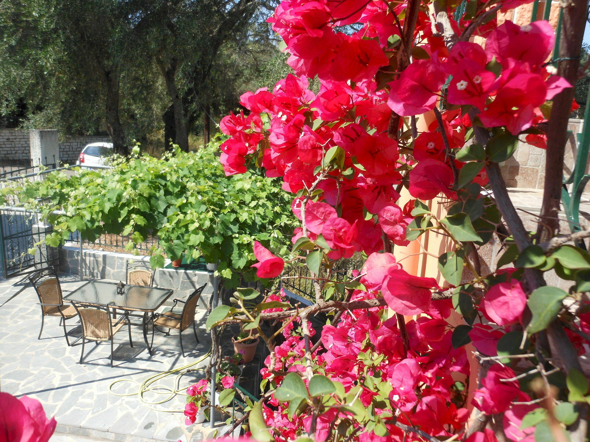 Apartment Ziogas Luxury Dassia (Corfu)