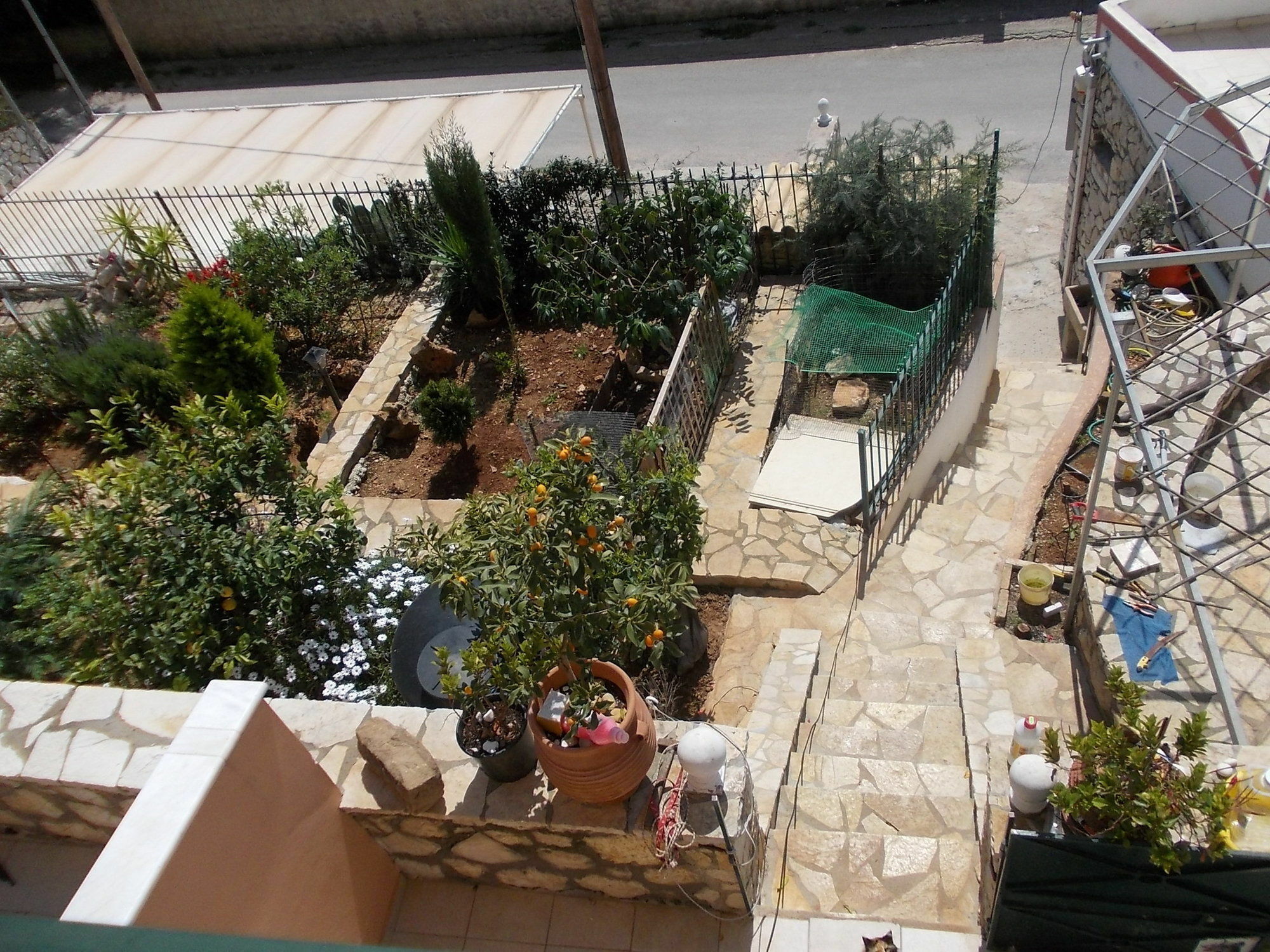 Sarakinos *