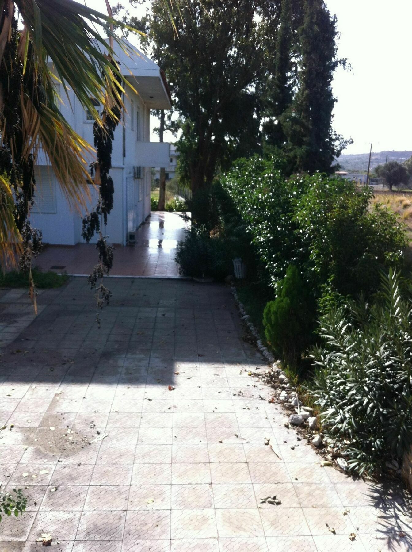 Apartment Evas *