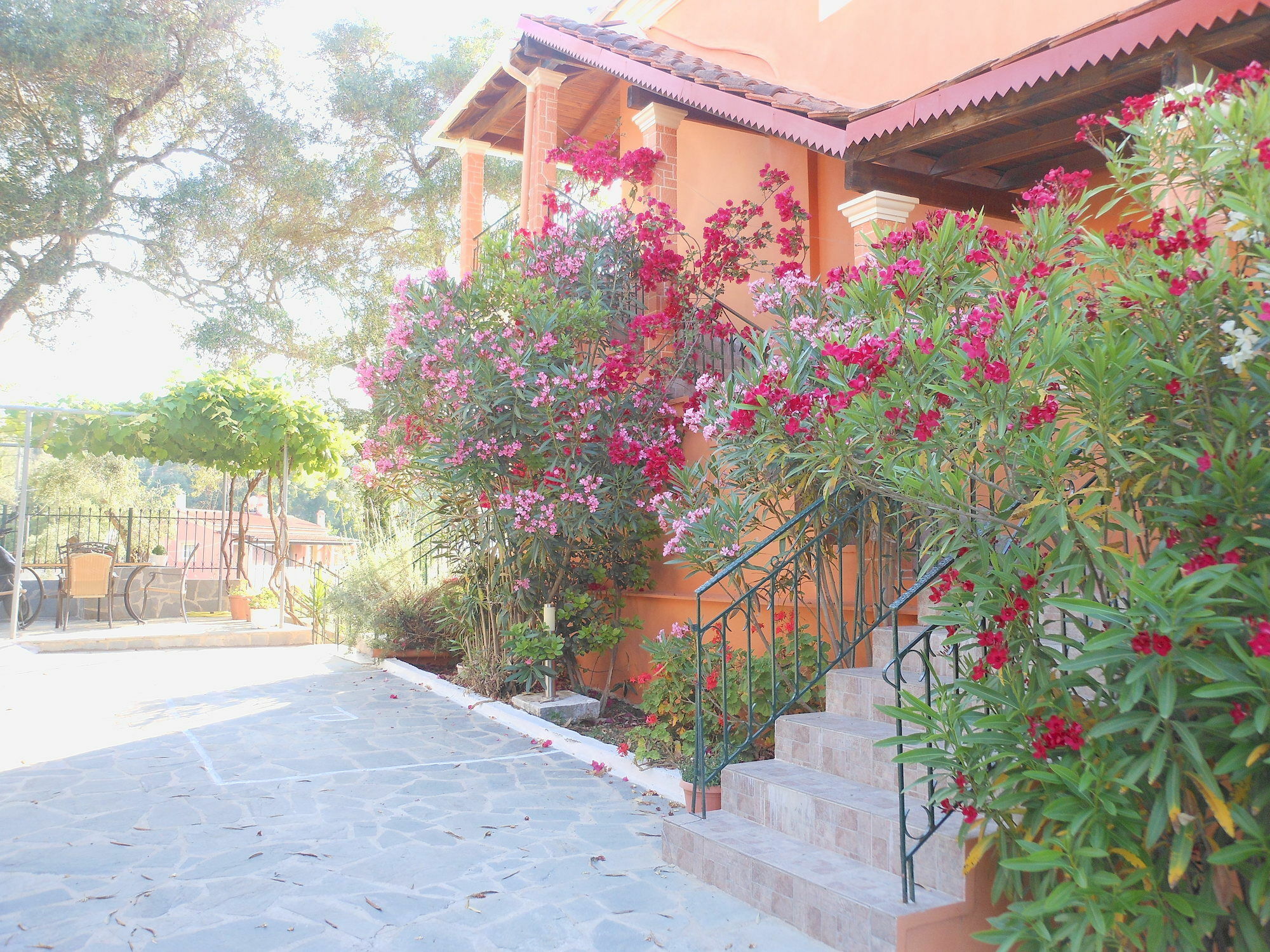 Ziogas Luxury * Dassia (Corfu)