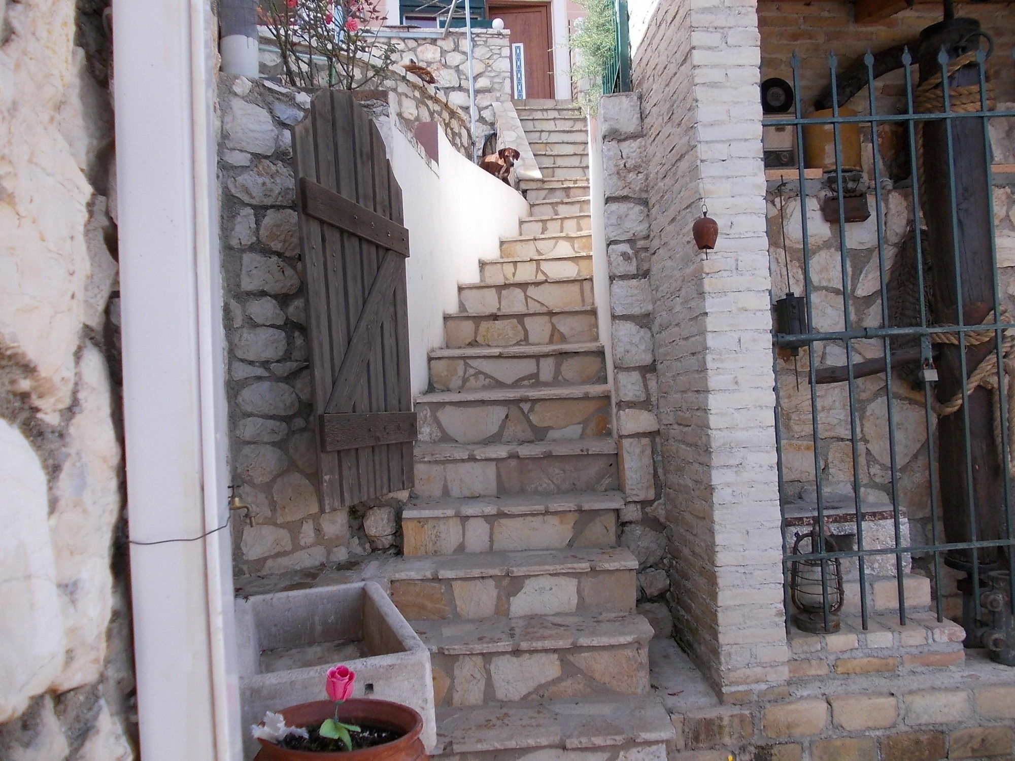 Apartment Sarakinos