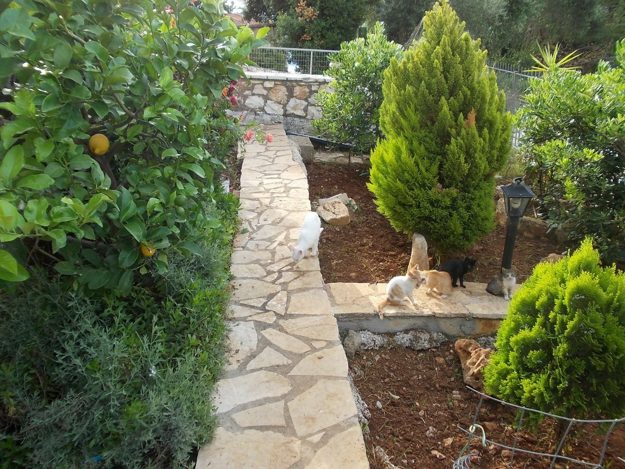Sarakinos Apartment *