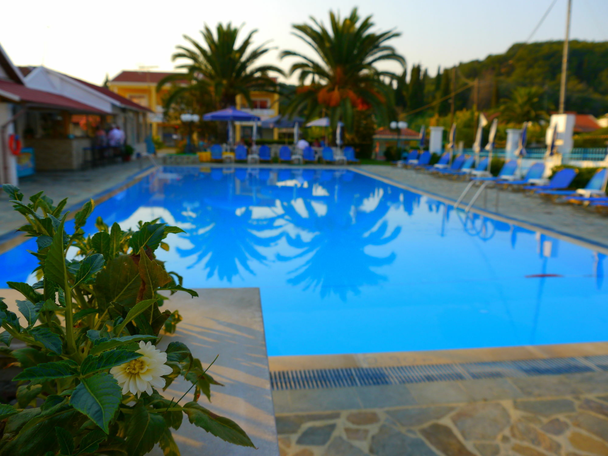 Tria Adelphia Aparthotel Arillas (Corfu)