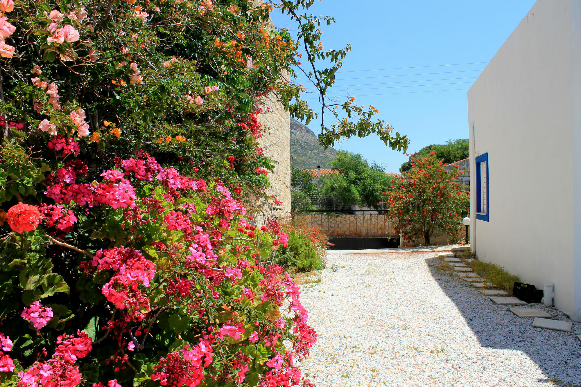 Alexis Apartment Stavros (Crete)