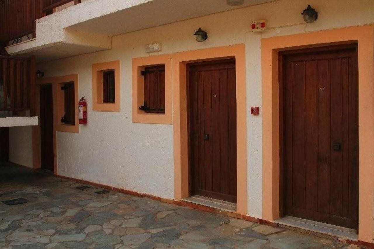 Ceratonia * Malia (Crete)