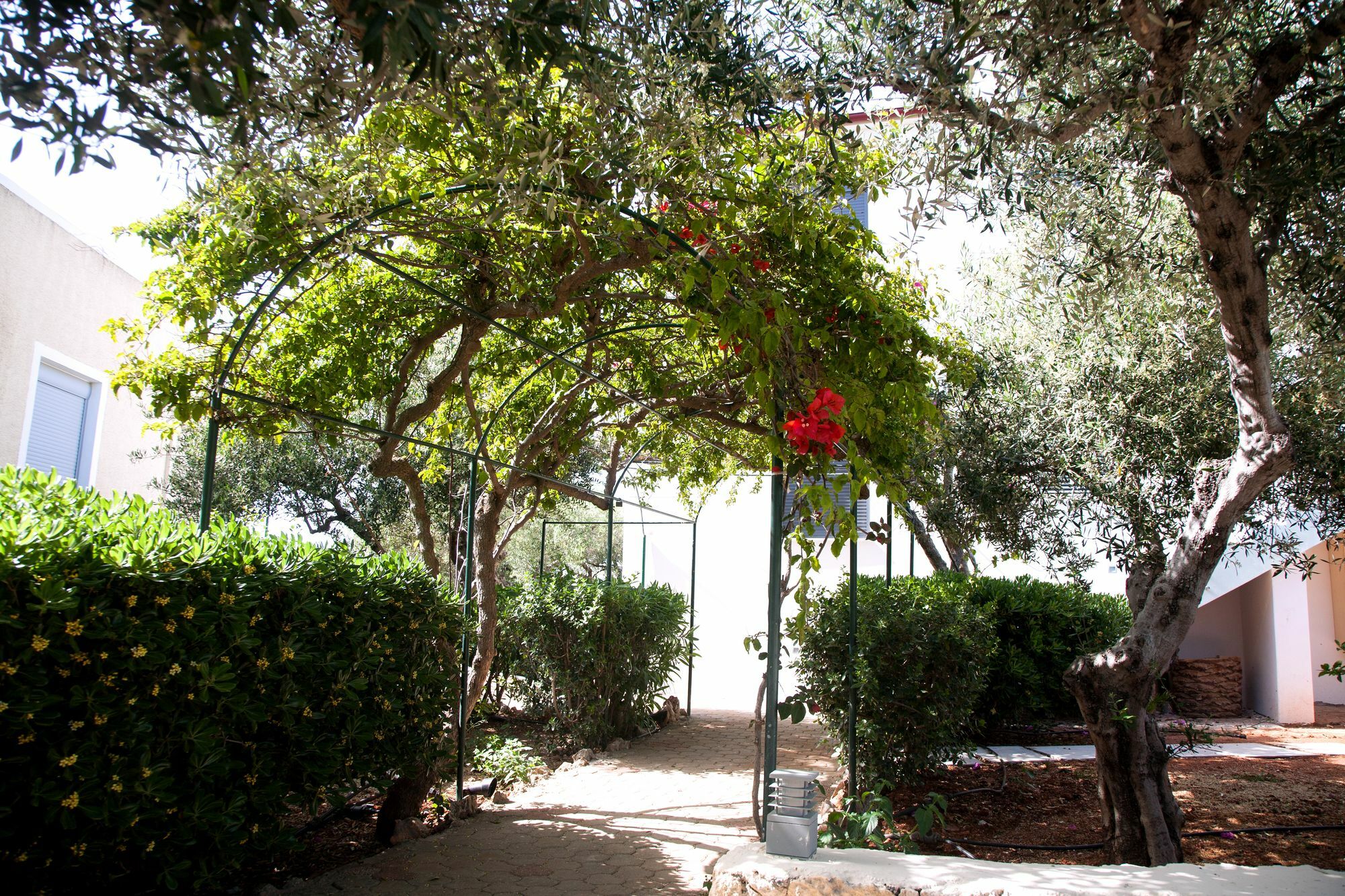 Aparthotel Artemis Village &