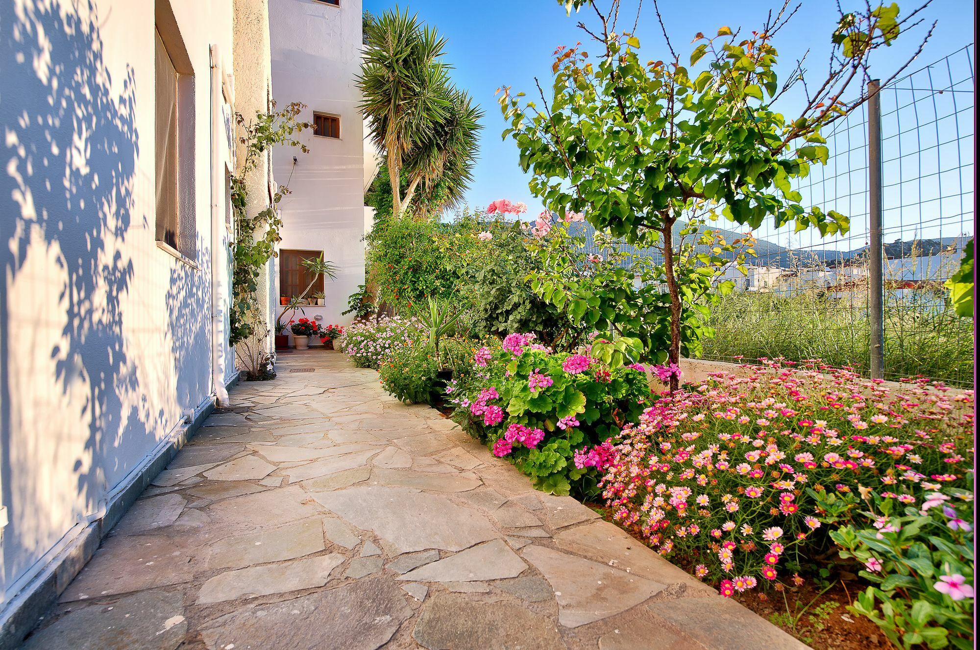 Kostas