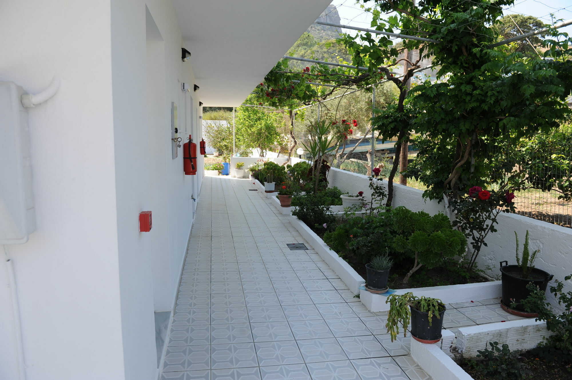 Spring Apartment *