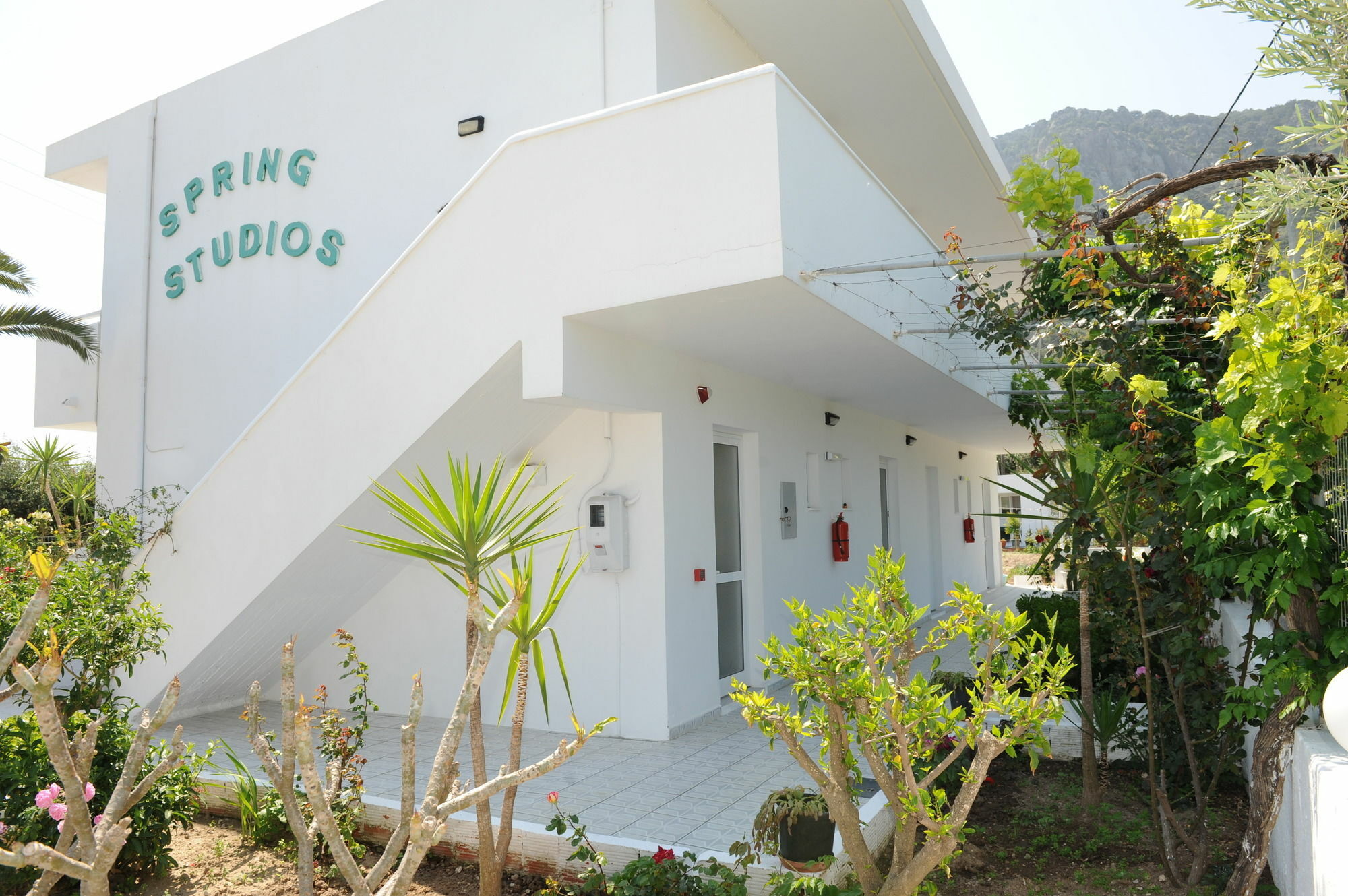 Spring Apartment