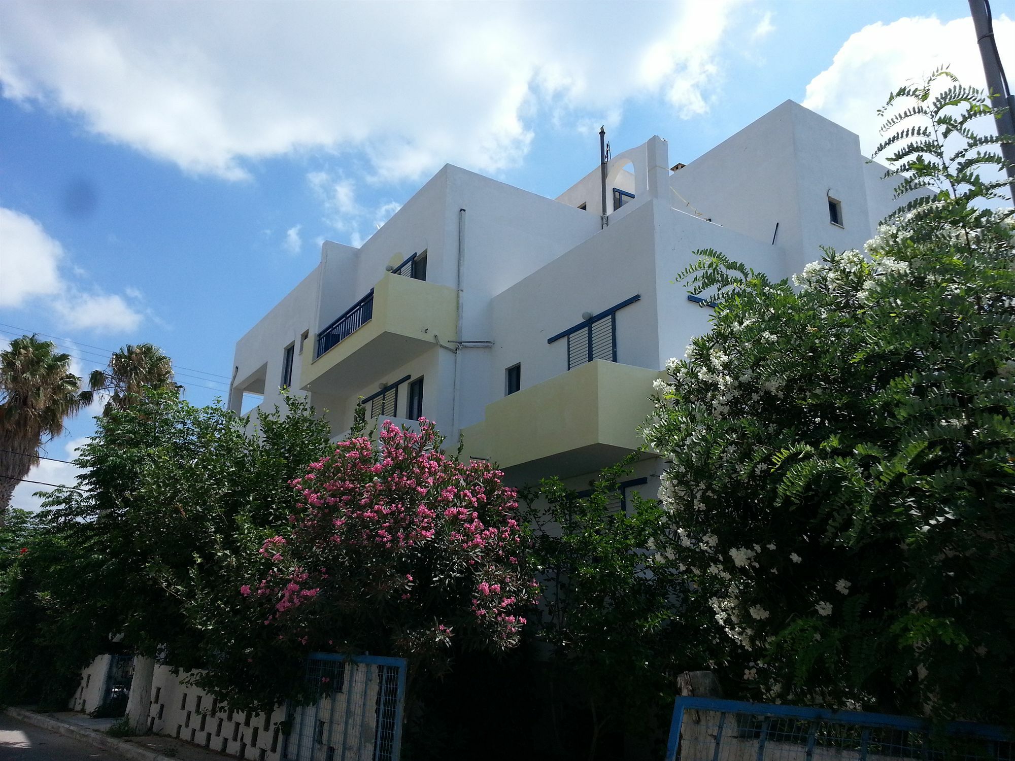 Kaloxenia * Kardamena (Kos)