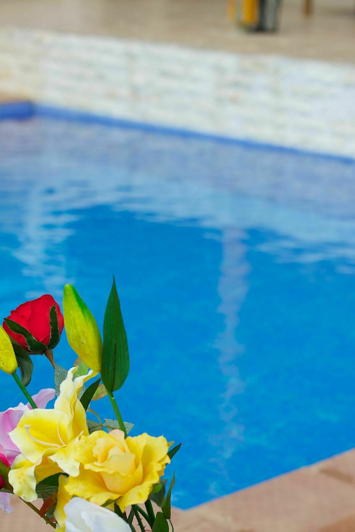 Villa Despina 1 Plakias Private Villa, Private Swimming Pool Garden,amazing View *